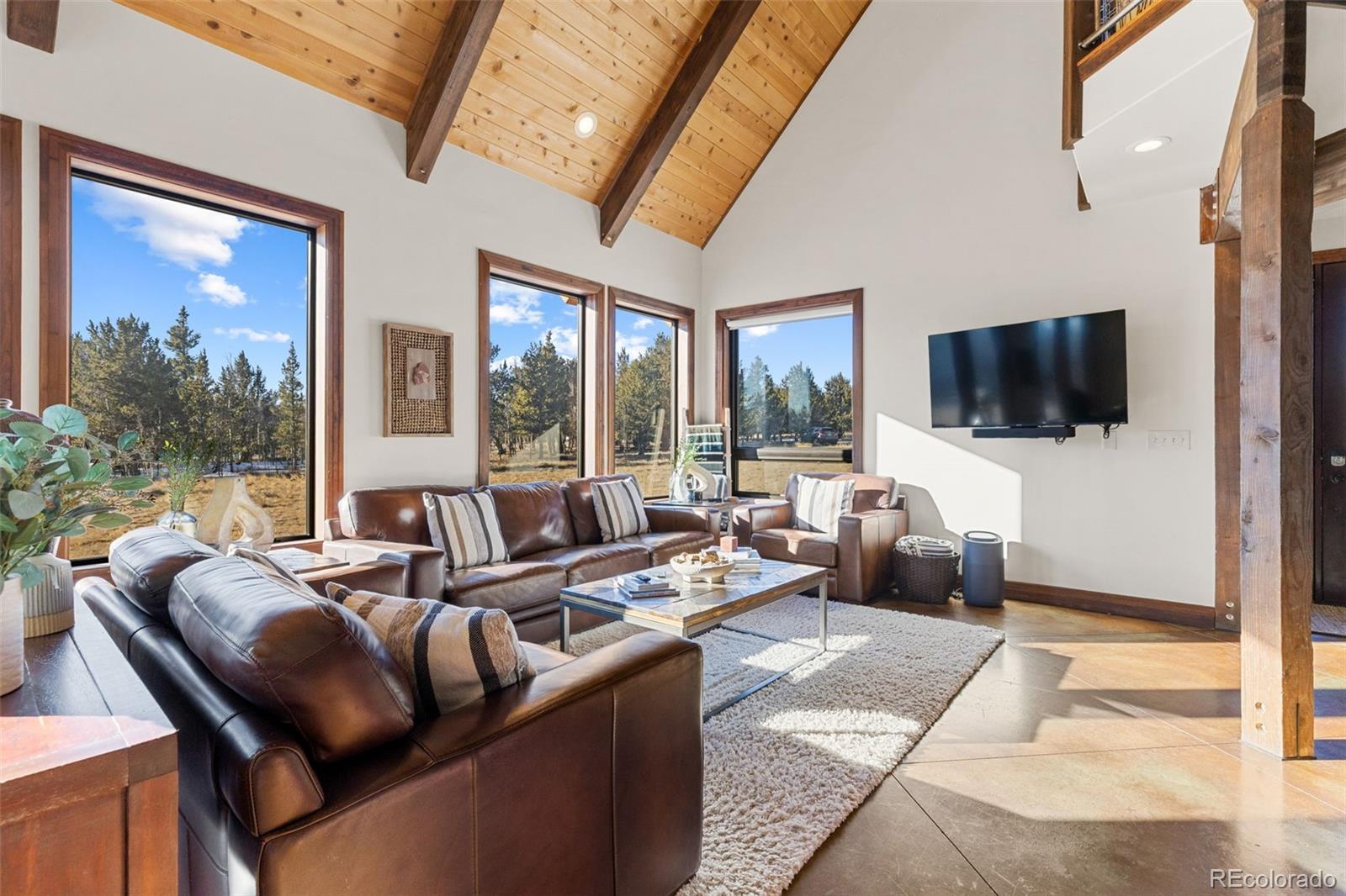 MLS Image #4 for 40  thurber court,fairplay, Colorado