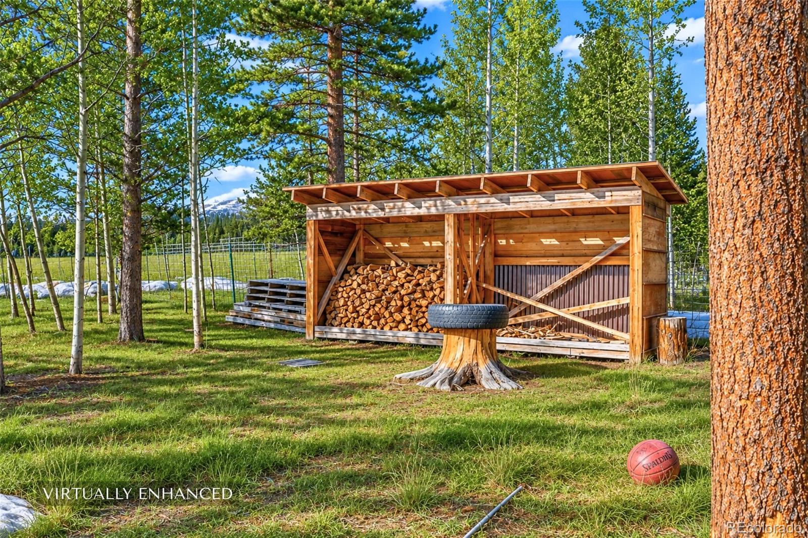 MLS Image #43 for 40  thurber court,fairplay, Colorado