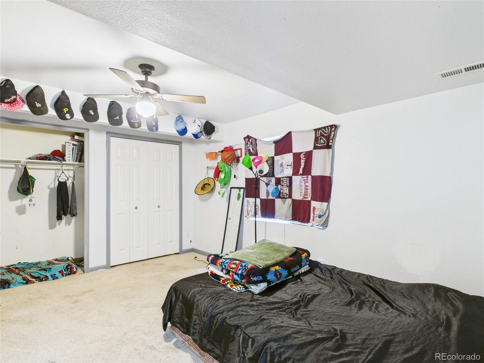 MLS Image #14 for 5169  fennel drive,colorado springs, Colorado