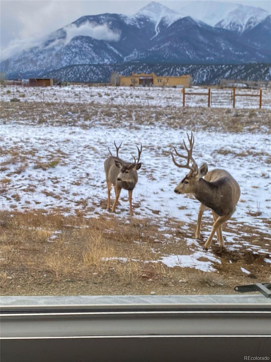 MLS Image #13 for 12910  county road 162 ,nathrop, Colorado