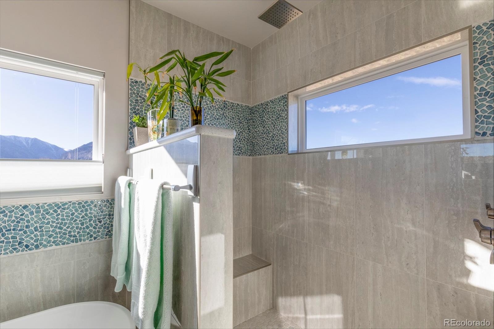 MLS Image #29 for 12910  county road 162 ,nathrop, Colorado