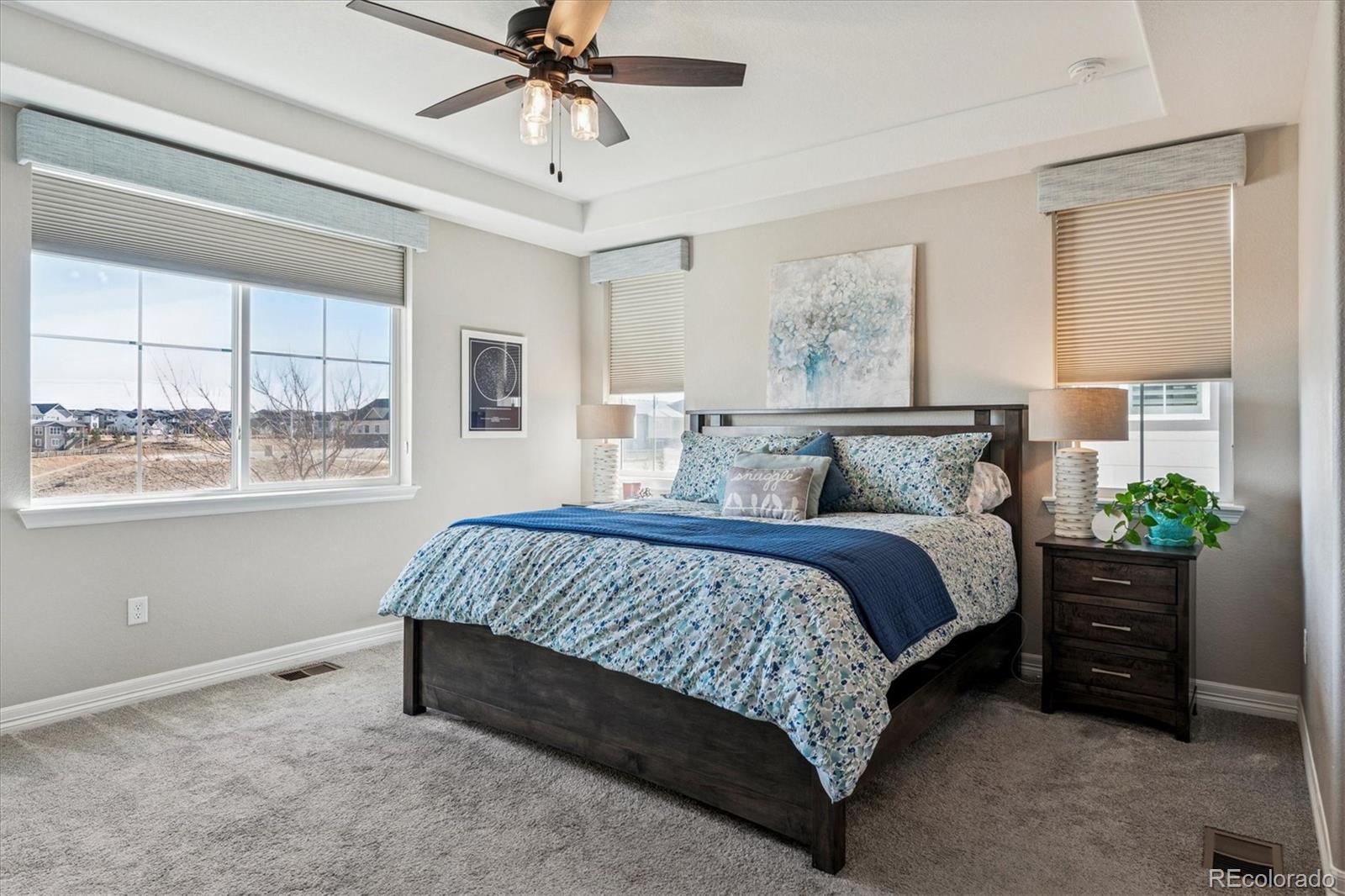 MLS Image #12 for 9140  basalt lane,littleton, Colorado