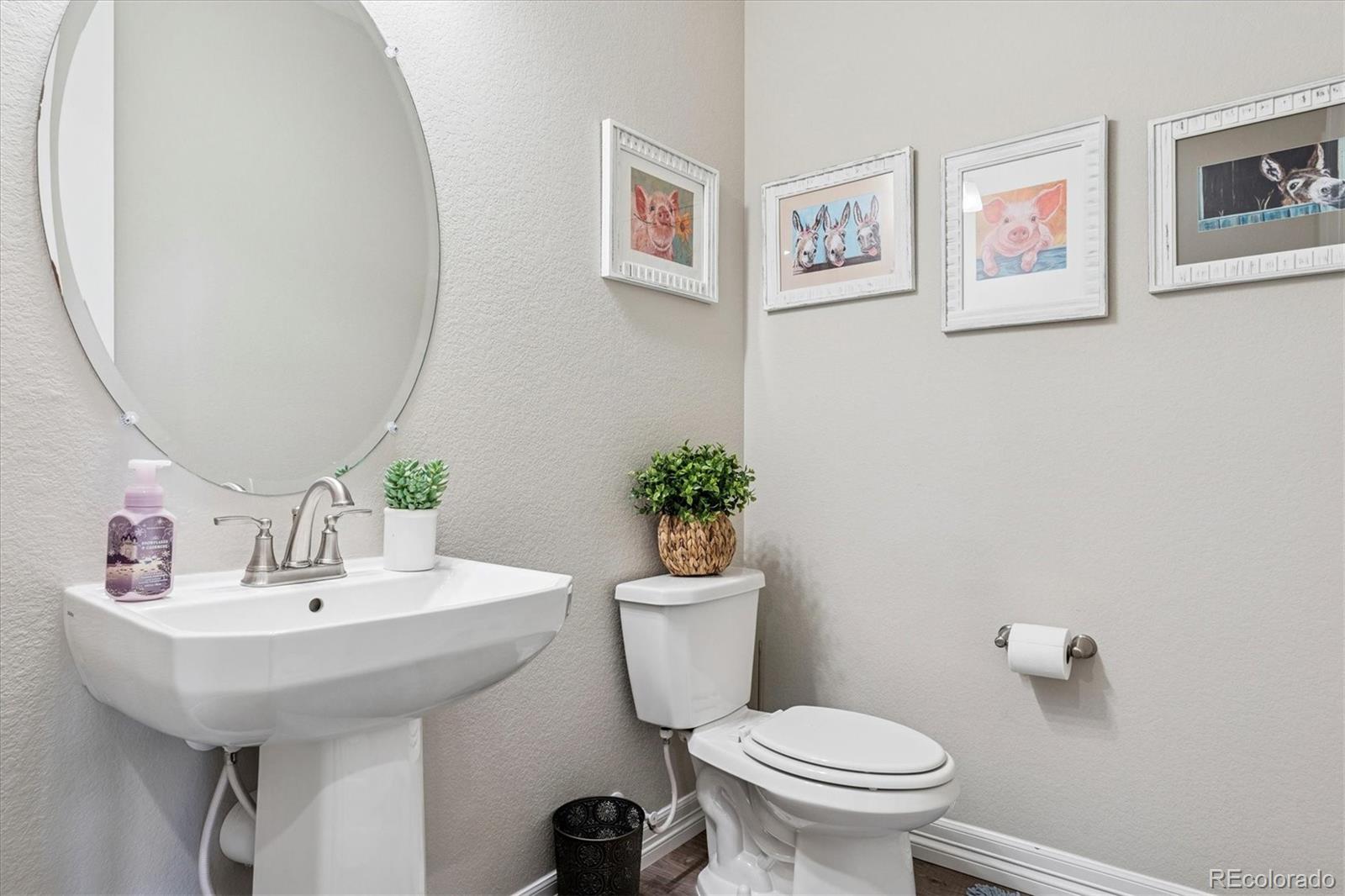 MLS Image #18 for 9140  basalt lane,littleton, Colorado