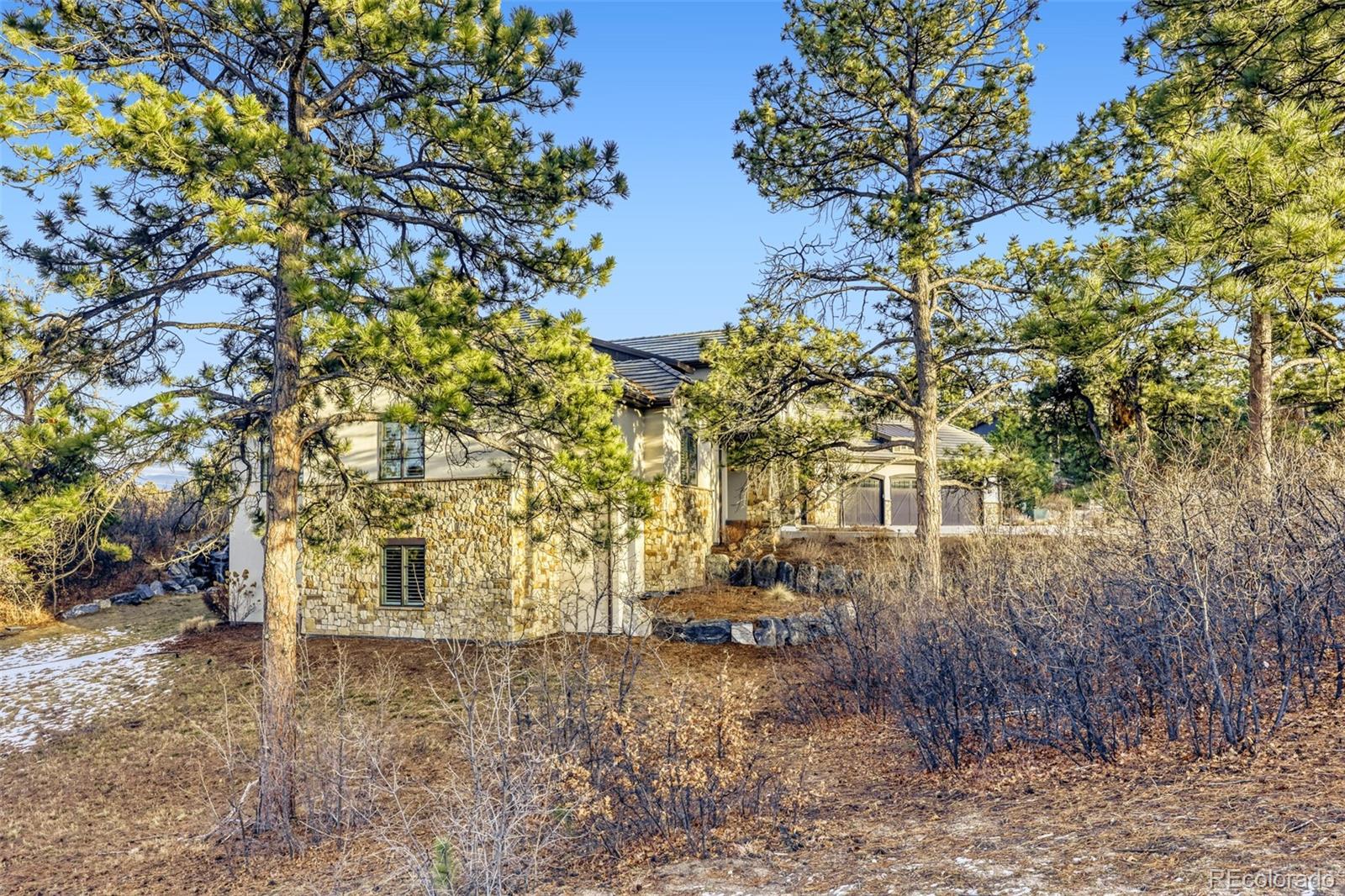 MLS Image #37 for 2163  sierra verde court,castle rock, Colorado