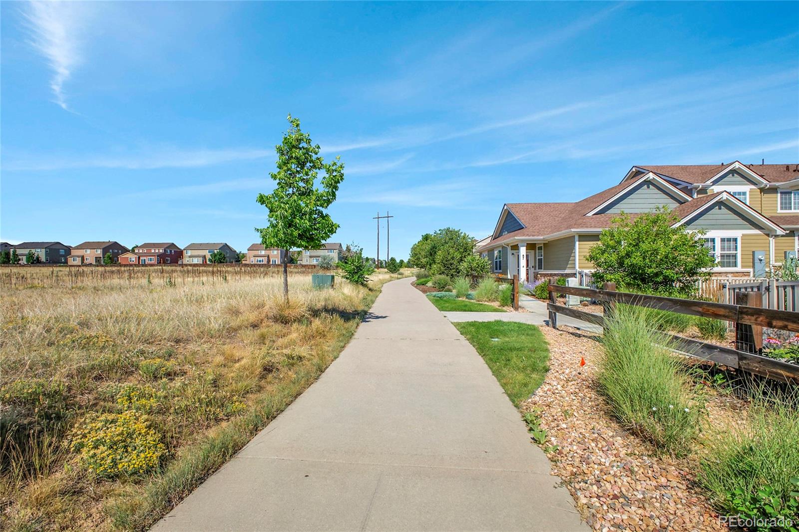 MLS Image #26 for 92  jackson place,erie, Colorado