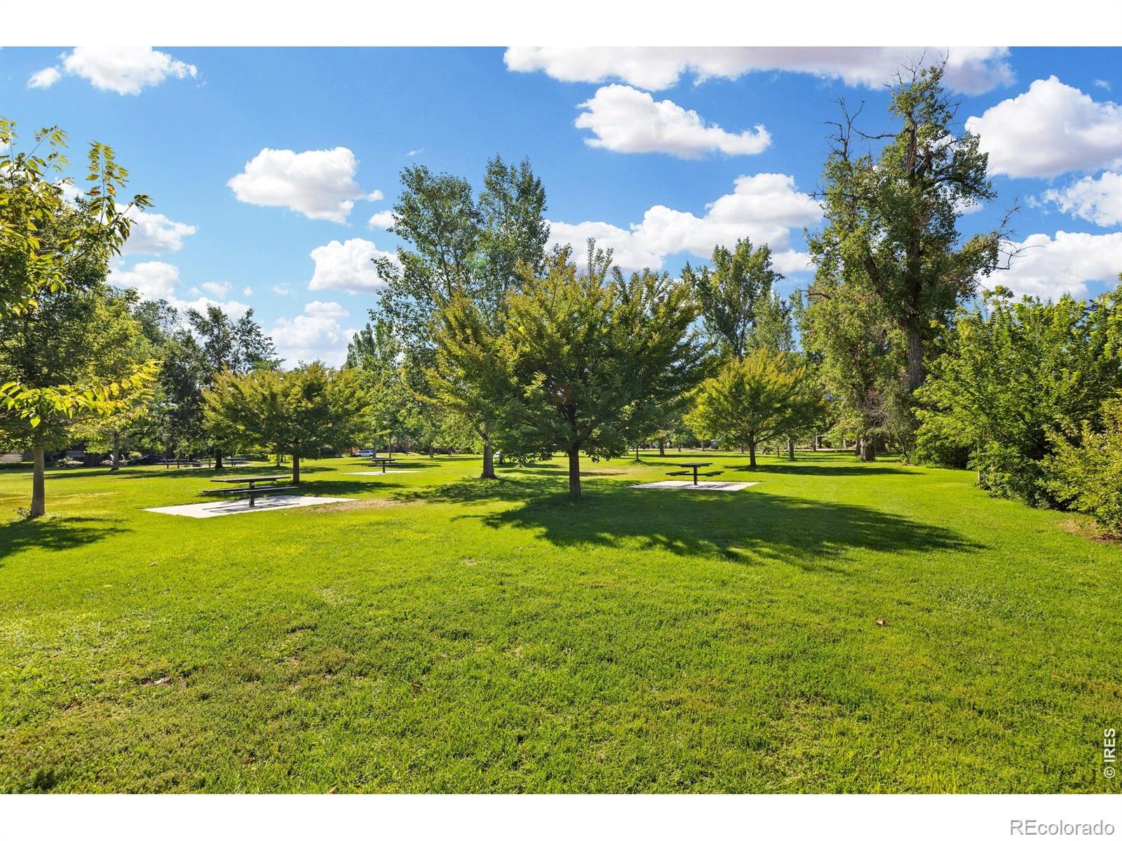 MLS Image #46 for 525 n pearl street,denver, Colorado