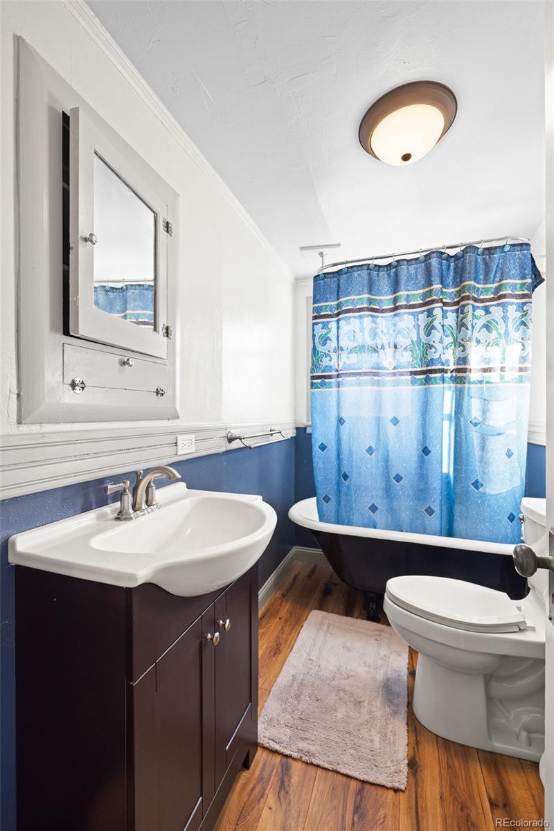 MLS Image #13 for 1608  mount massive drive,leadville, Colorado