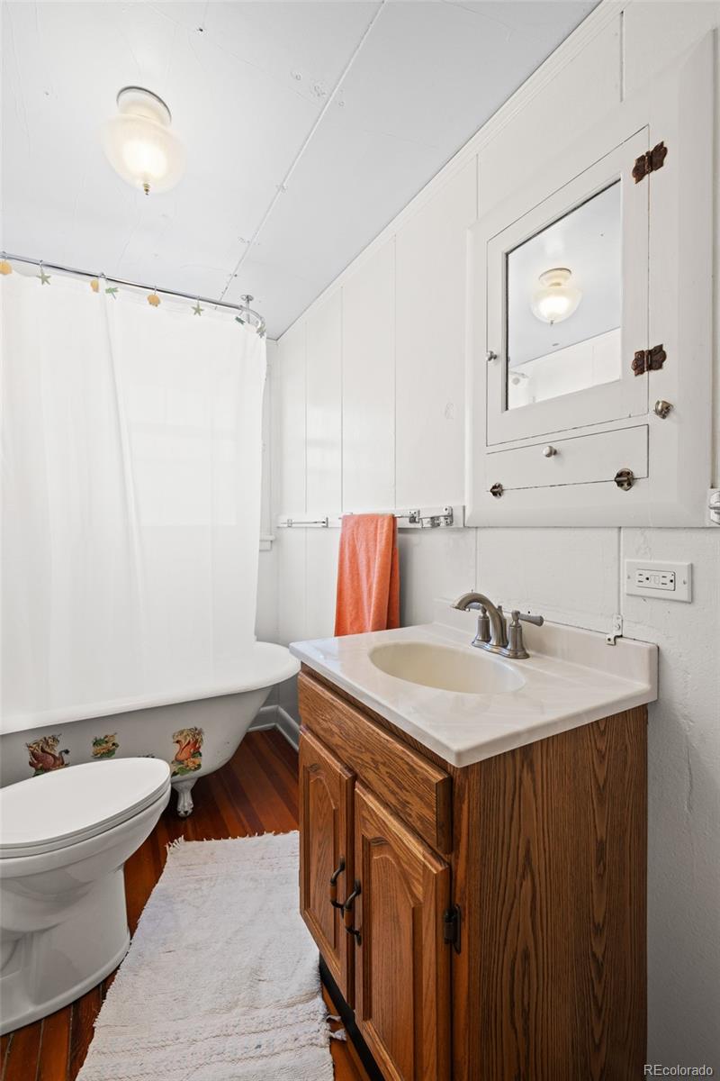 MLS Image #16 for 1608  mount massive drive,leadville, Colorado