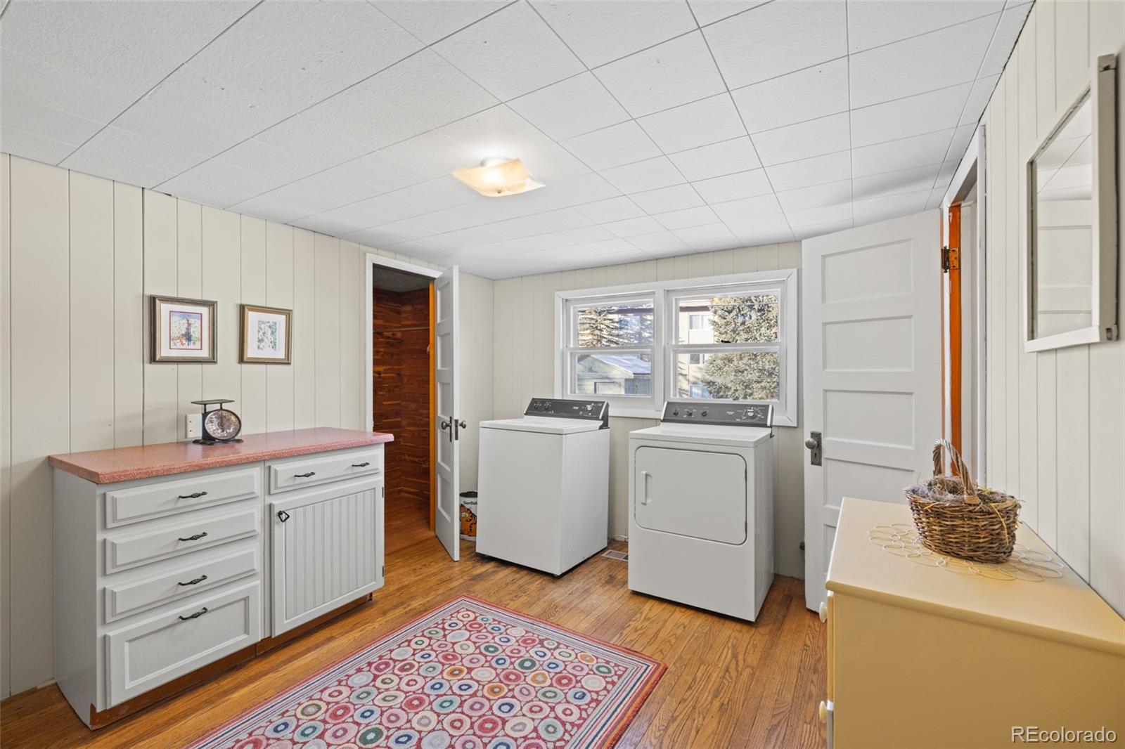 MLS Image #18 for 1608  mount massive drive,leadville, Colorado