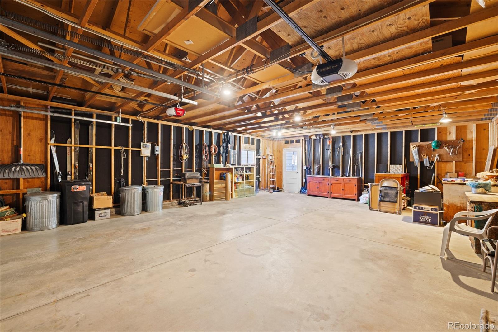 MLS Image #23 for 1608  mount massive drive,leadville, Colorado