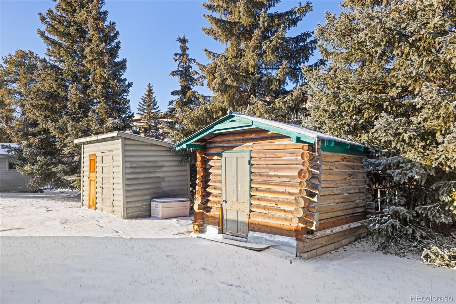MLS Image #28 for 1608  mount massive drive,leadville, Colorado