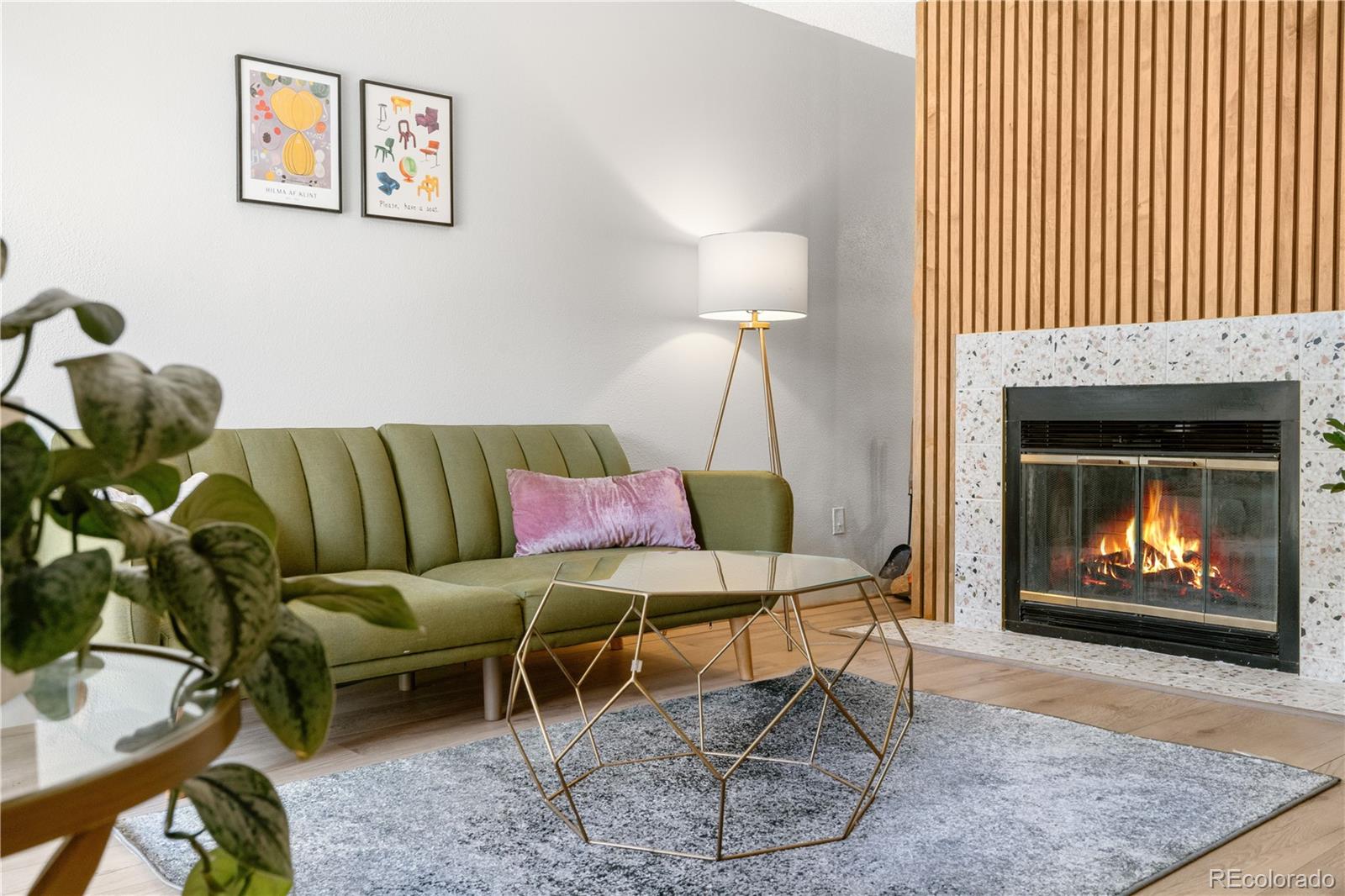 MLS Image #0 for 540 s forest street 7-102,denver, Colorado
