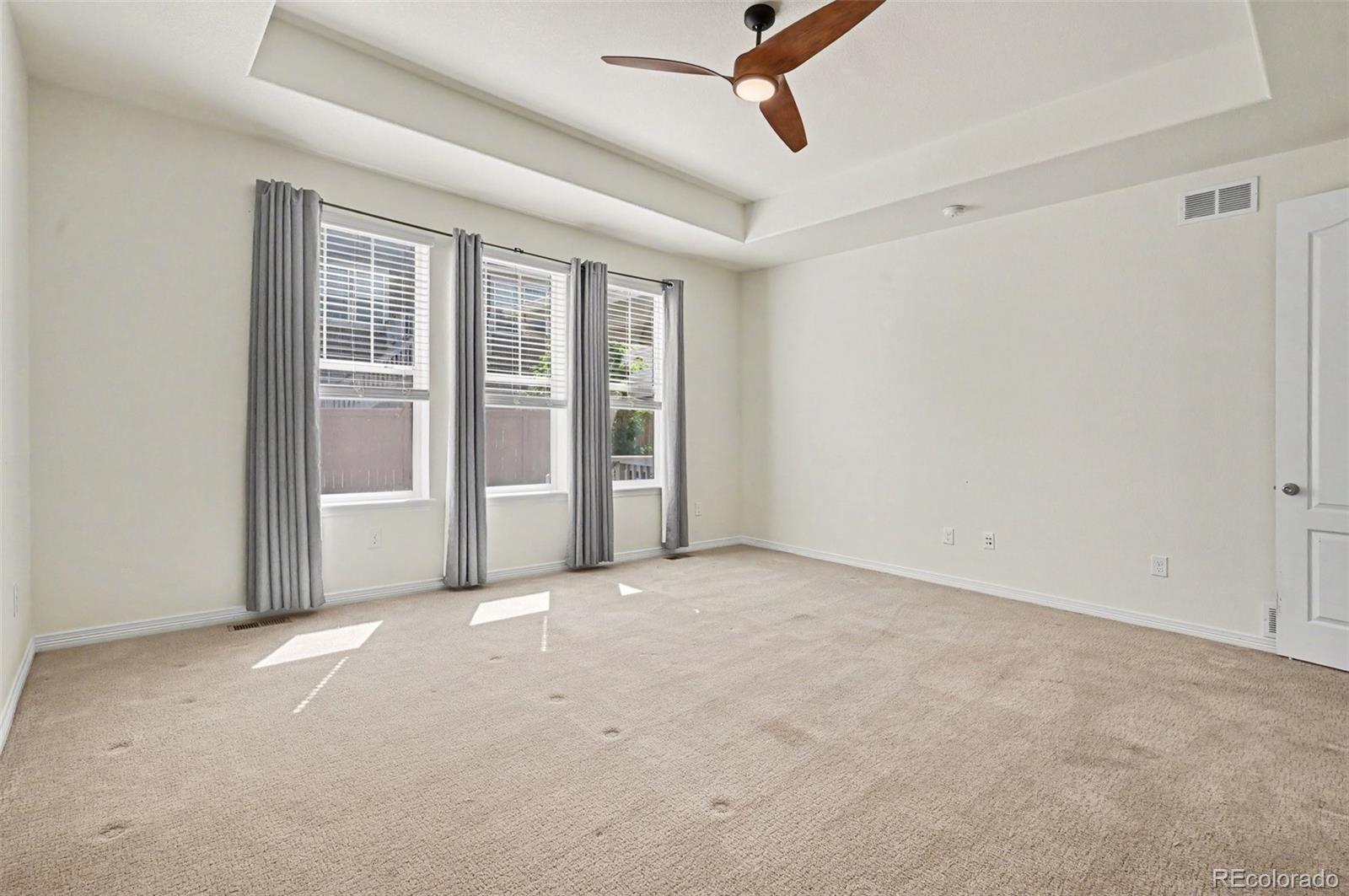 MLS Image #12 for 8777  ginkgo loop,parker, Colorado