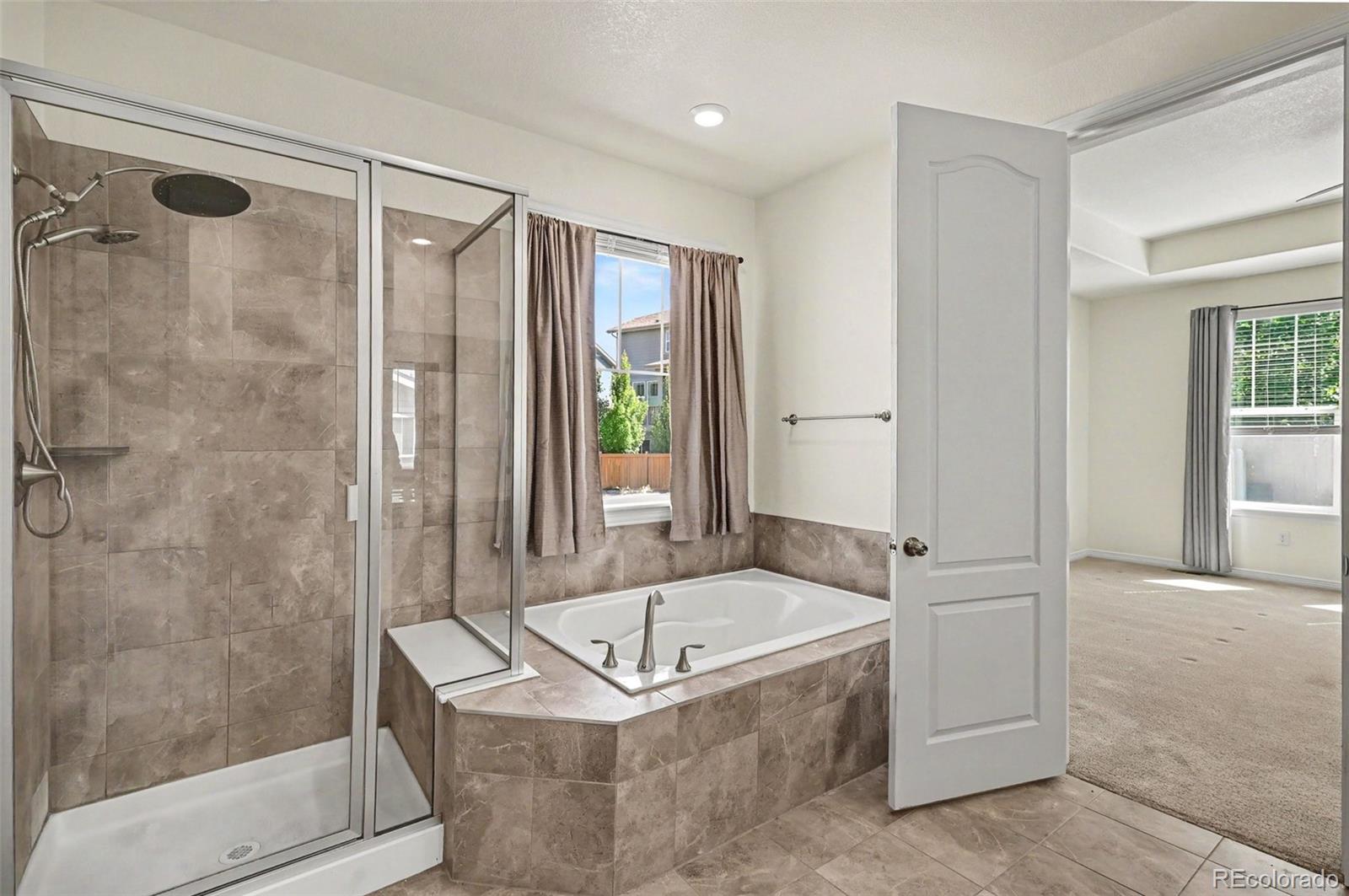MLS Image #15 for 8777  ginkgo loop,parker, Colorado