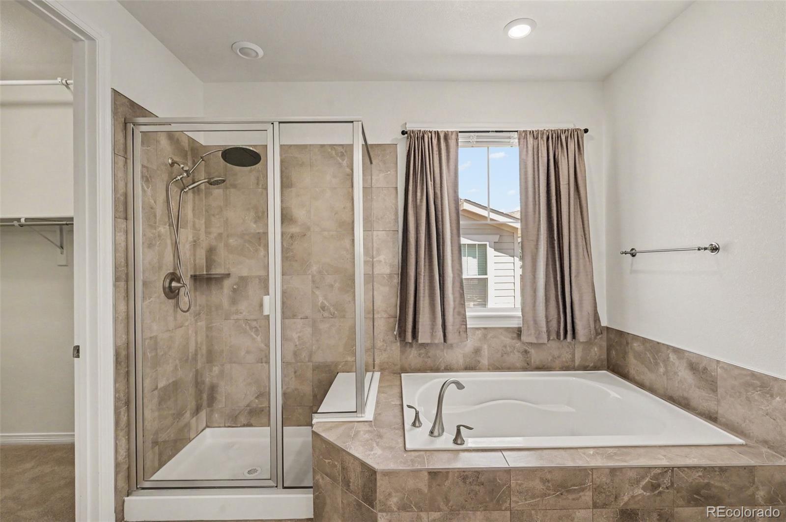 MLS Image #16 for 8777  ginkgo loop,parker, Colorado