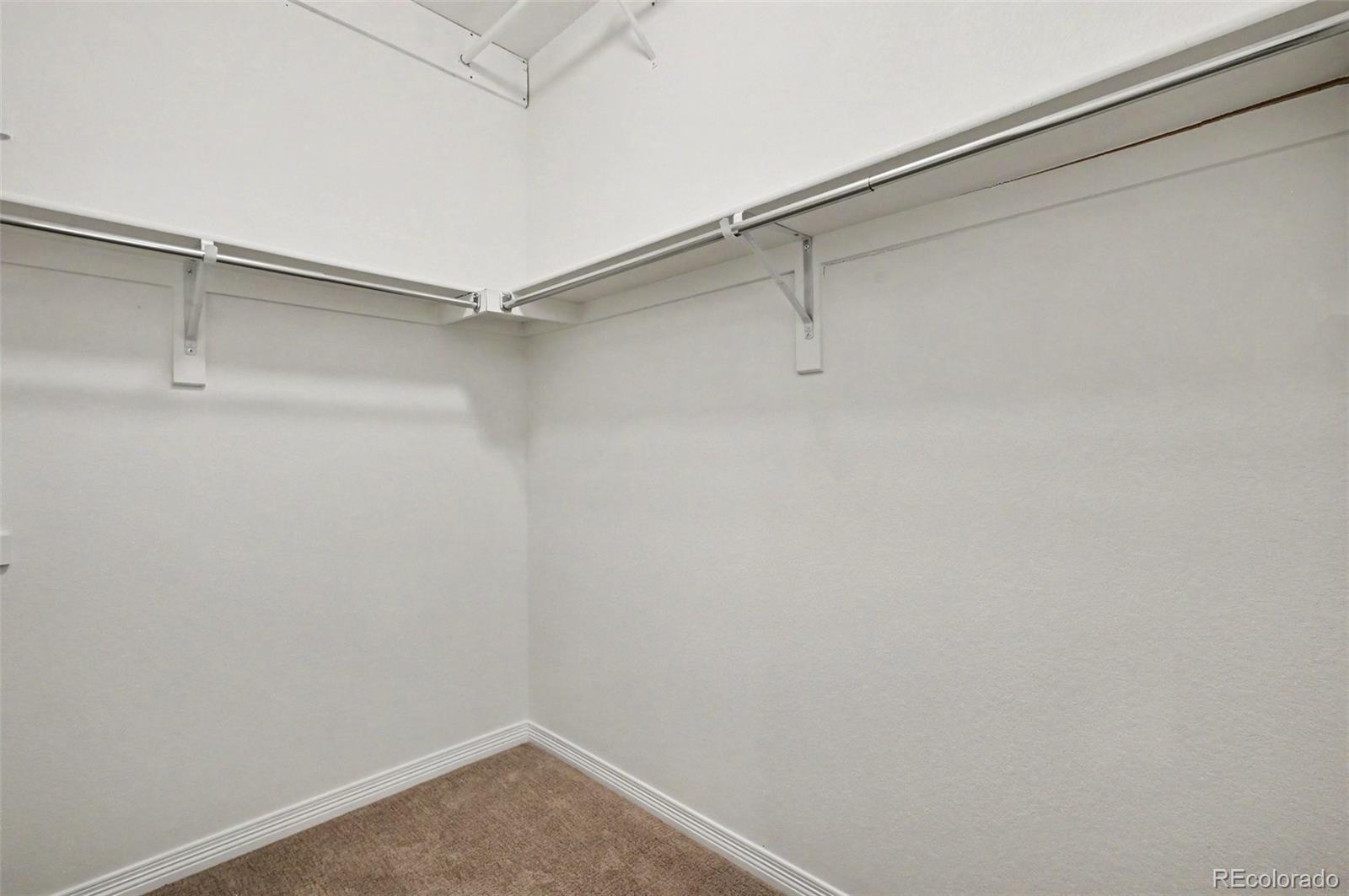MLS Image #18 for 8777  ginkgo loop,parker, Colorado