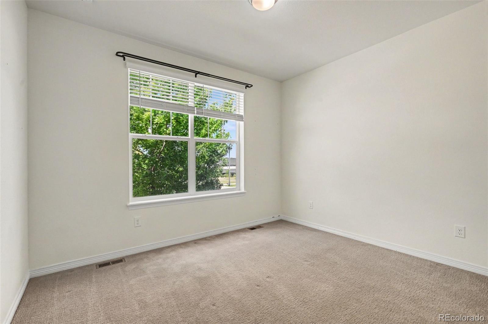 MLS Image #19 for 8777  ginkgo loop,parker, Colorado