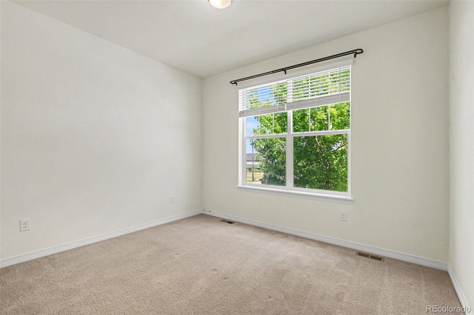 MLS Image #21 for 8777  ginkgo loop,parker, Colorado