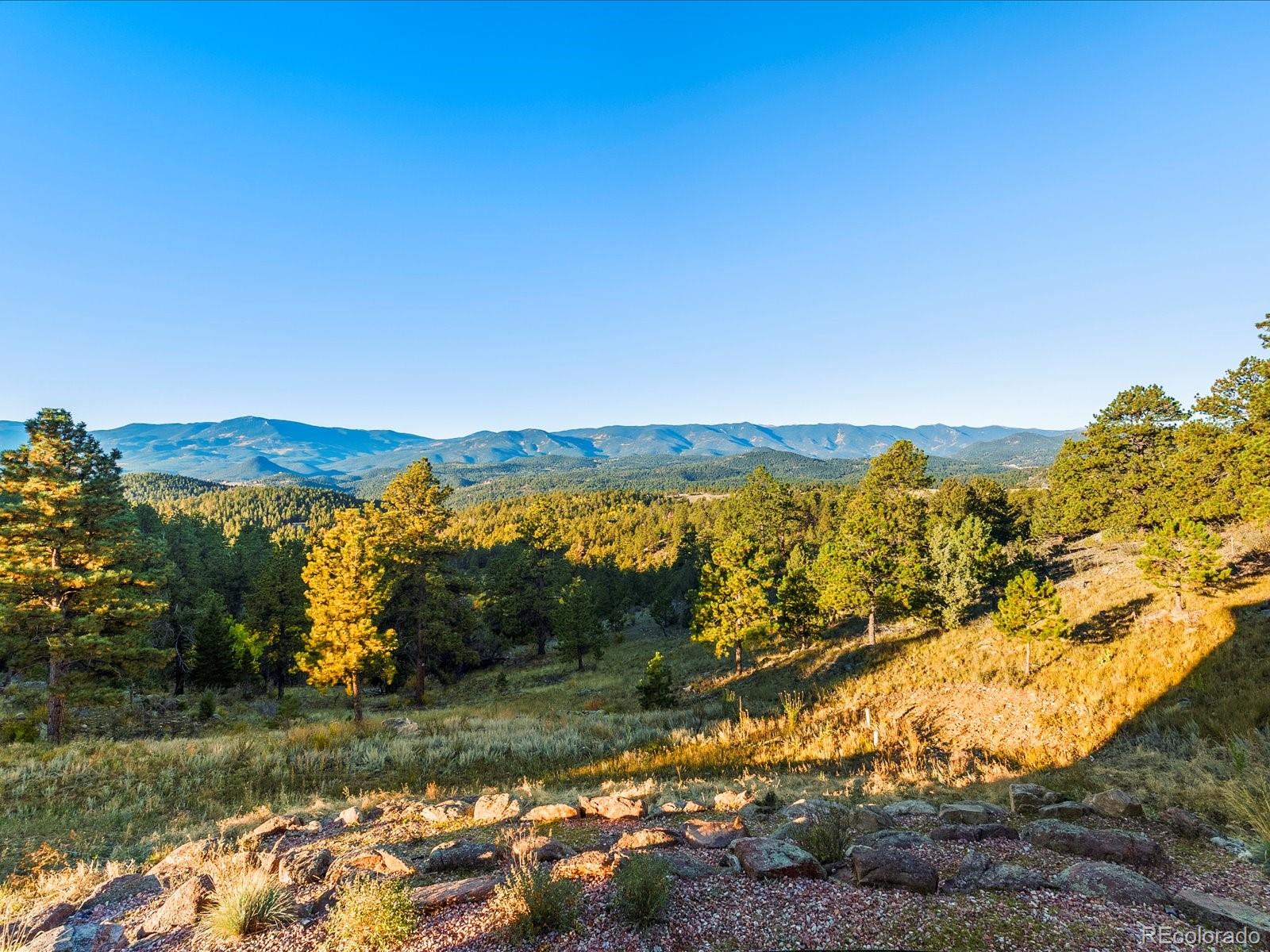 MLS Image #43 for 33958  running bear trail,pine, Colorado