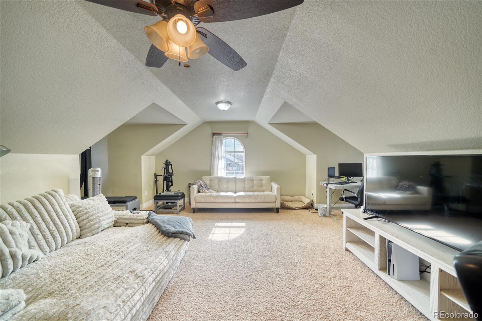 MLS Image #26 for 2100 e ouray avenue,poncha springs, Colorado