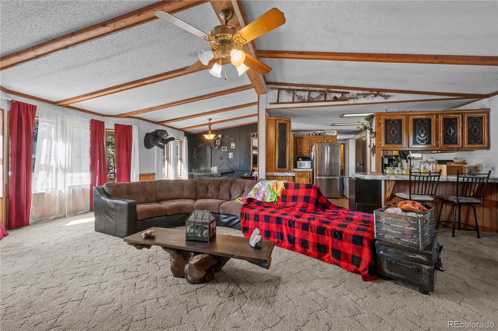 MLS Image #10 for 627  harmon drive,cotopaxi, Colorado