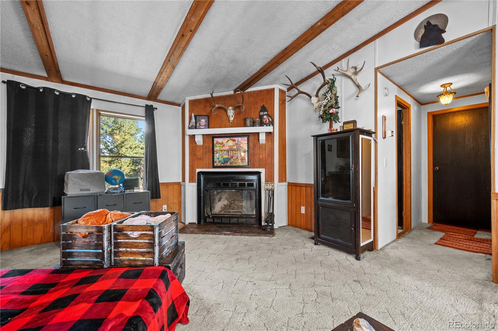 MLS Image #11 for 627  harmon drive,cotopaxi, Colorado