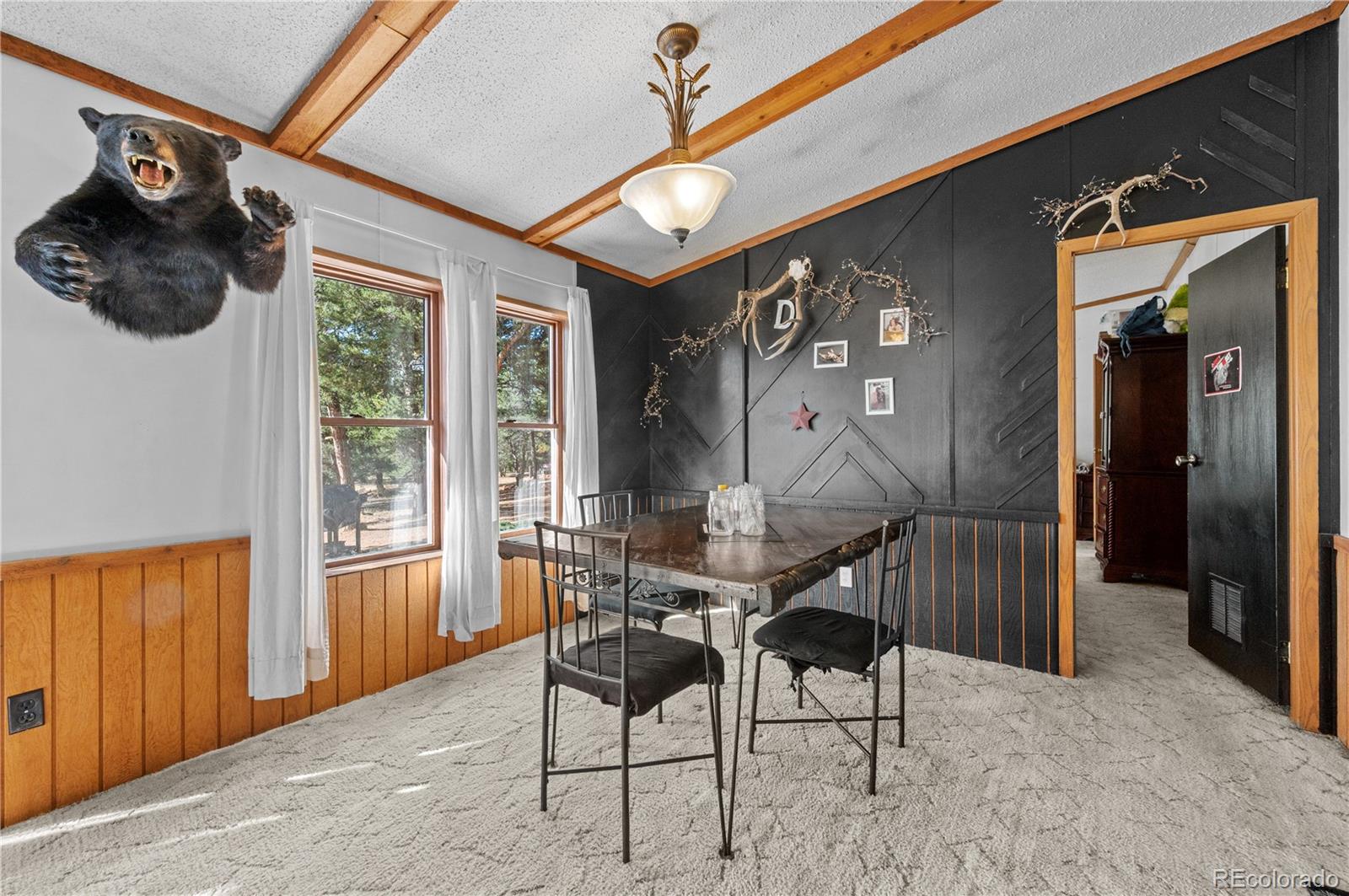 MLS Image #12 for 627  harmon drive,cotopaxi, Colorado