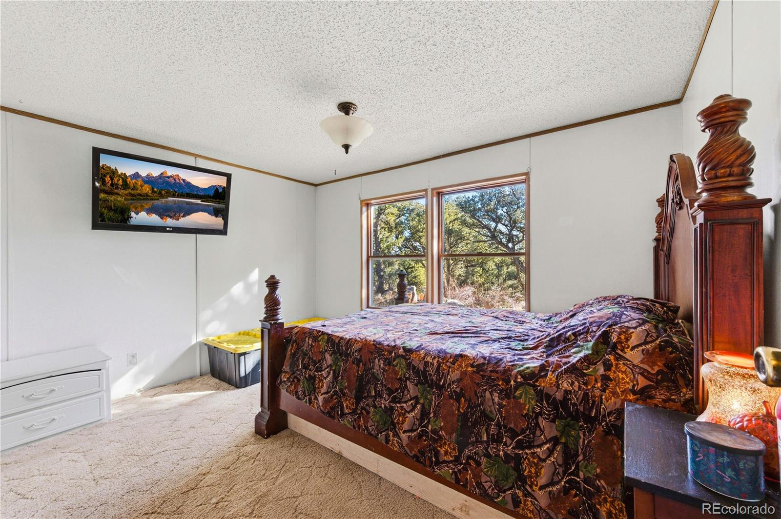 MLS Image #24 for 627  harmon drive,cotopaxi, Colorado
