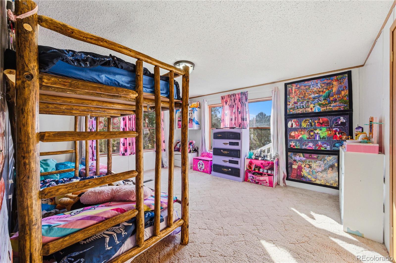 MLS Image #26 for 627  harmon drive,cotopaxi, Colorado