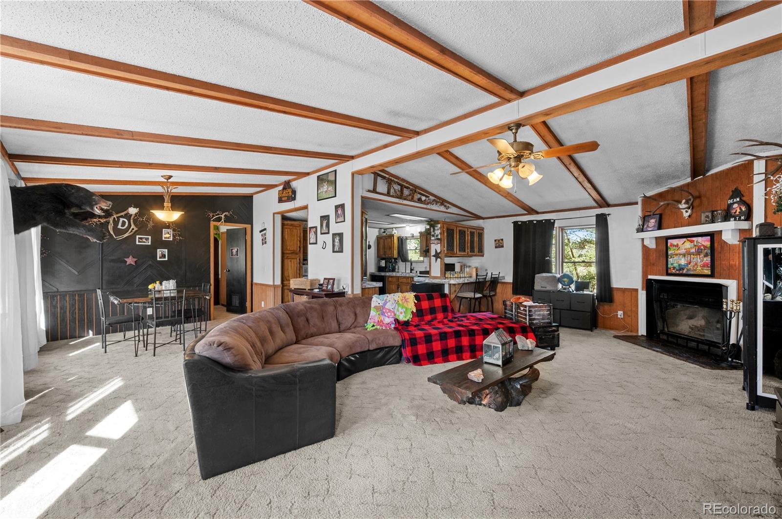 MLS Image #9 for 627  harmon drive,cotopaxi, Colorado
