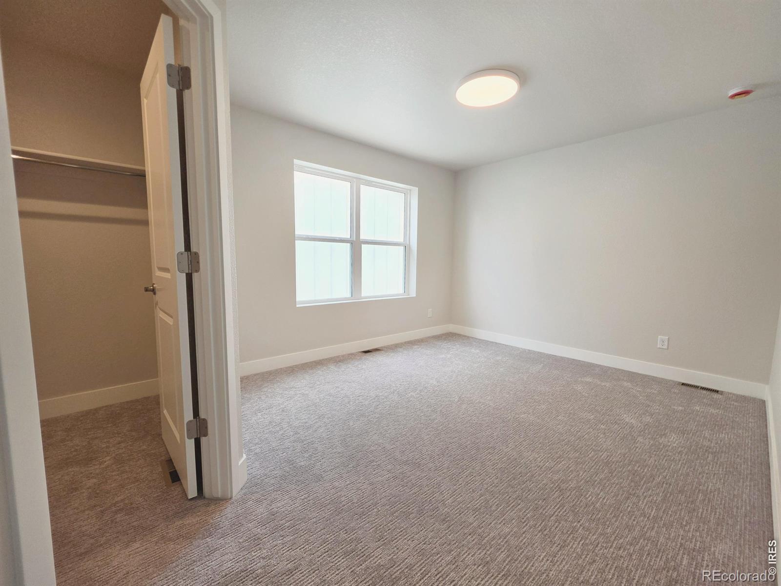 MLS Image #10 for 2894  donatello street,loveland, Colorado