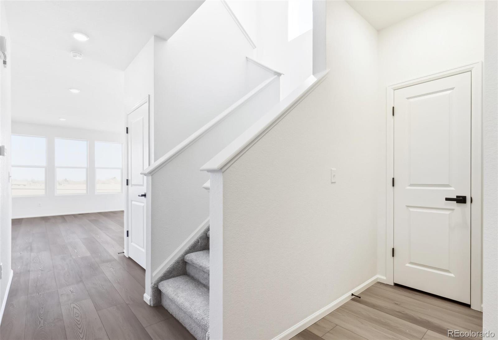 MLS Image #4 for 1081  mourning dove avenue,erie, Colorado