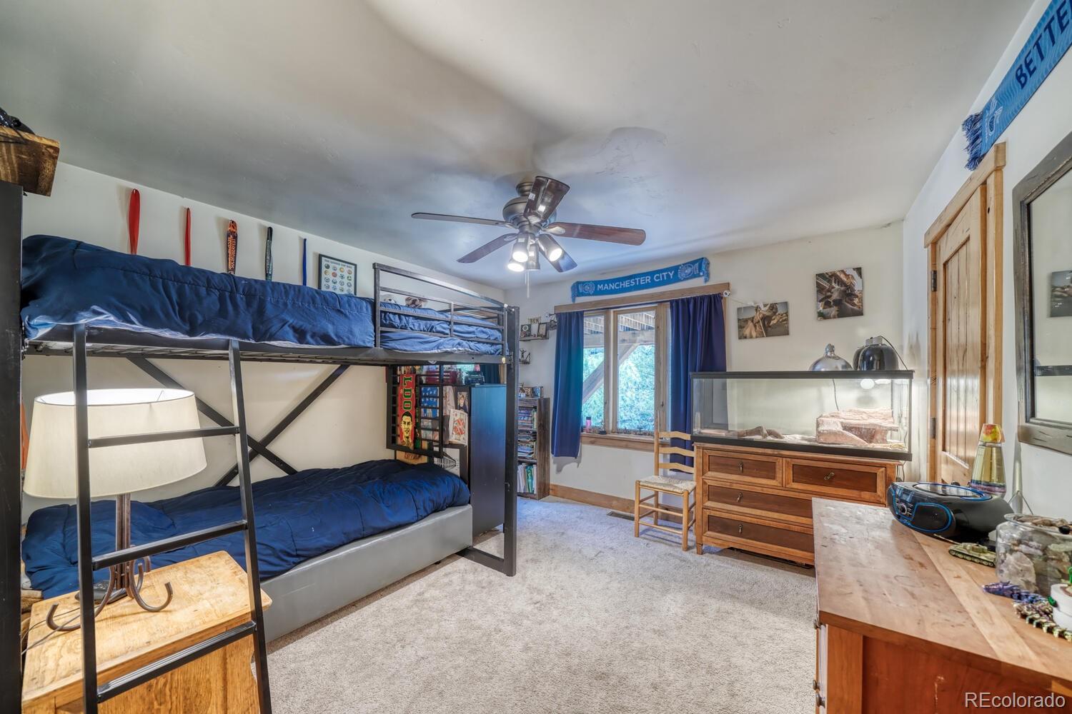 MLS Image #34 for 18525  via ponderosa drive,buena vista, Colorado