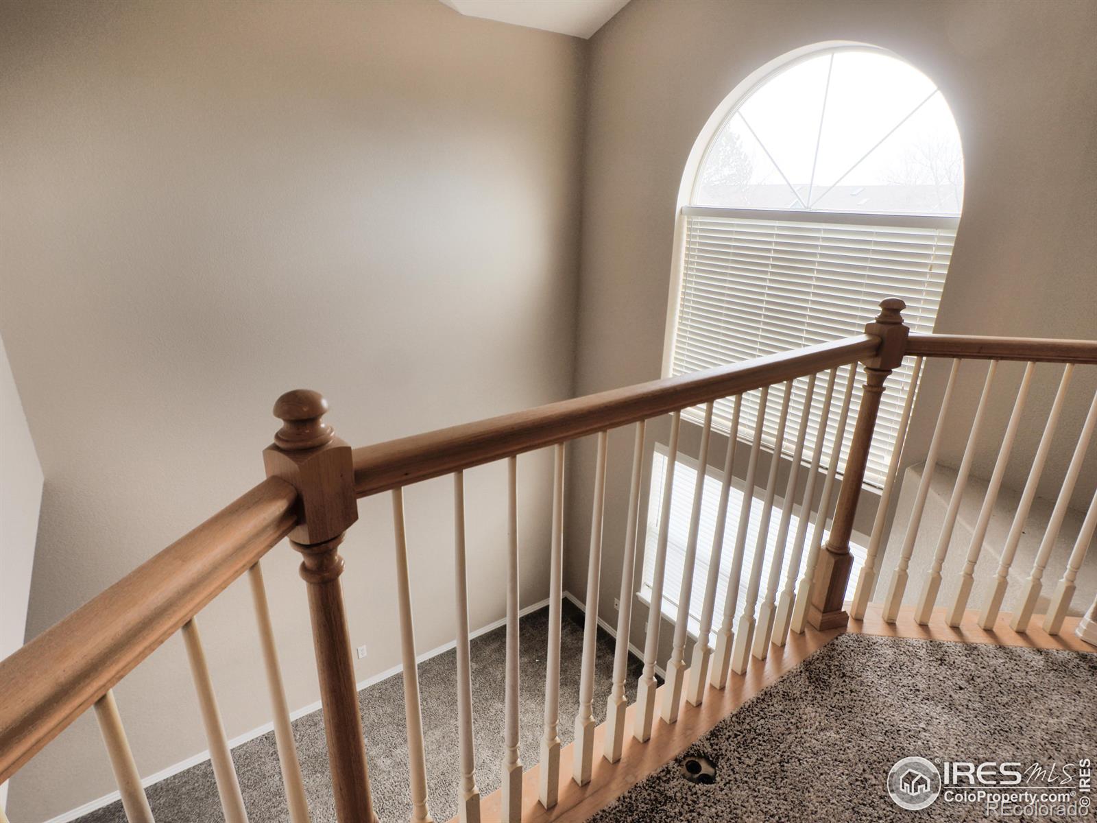 MLS Image #17 for 1697  high plains court,superior, Colorado