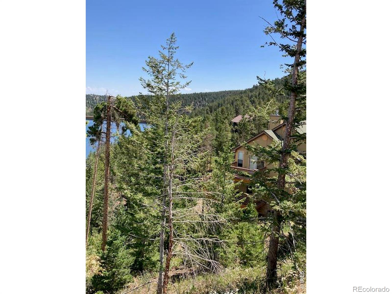 MLS Image #38 for 283  alpine drive,nederland, Colorado