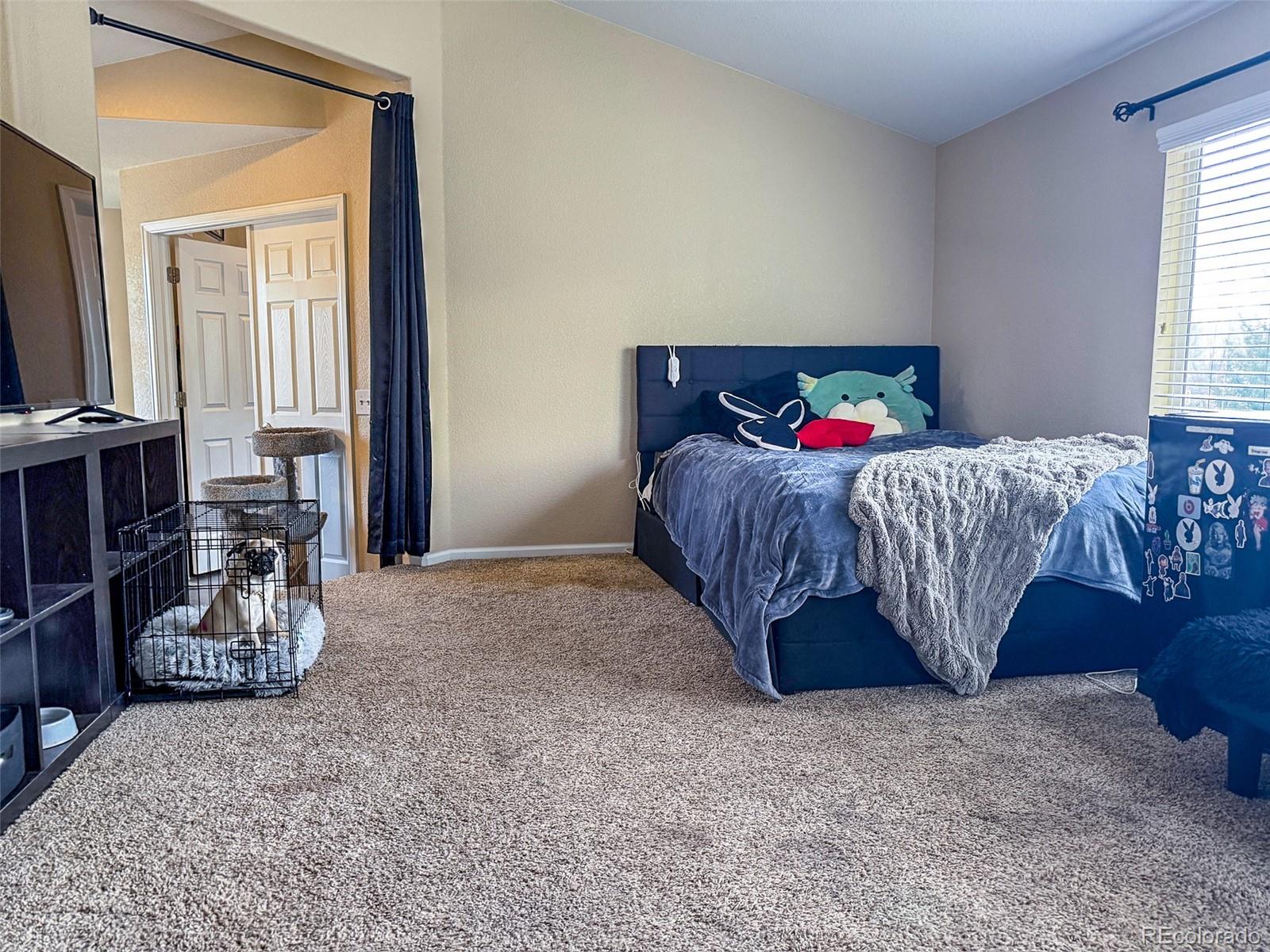 MLS Image #9 for 1823  canvasback drive,johnstown, Colorado