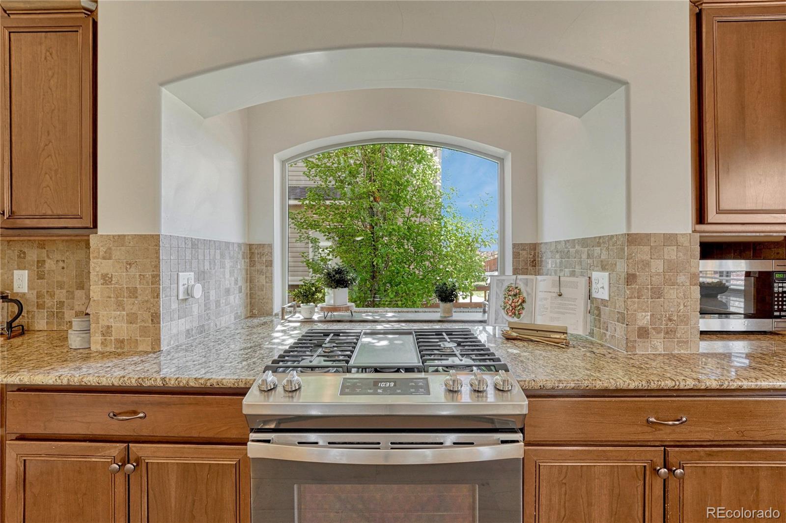 MLS Image #8 for 1801  avery way,castle rock, Colorado