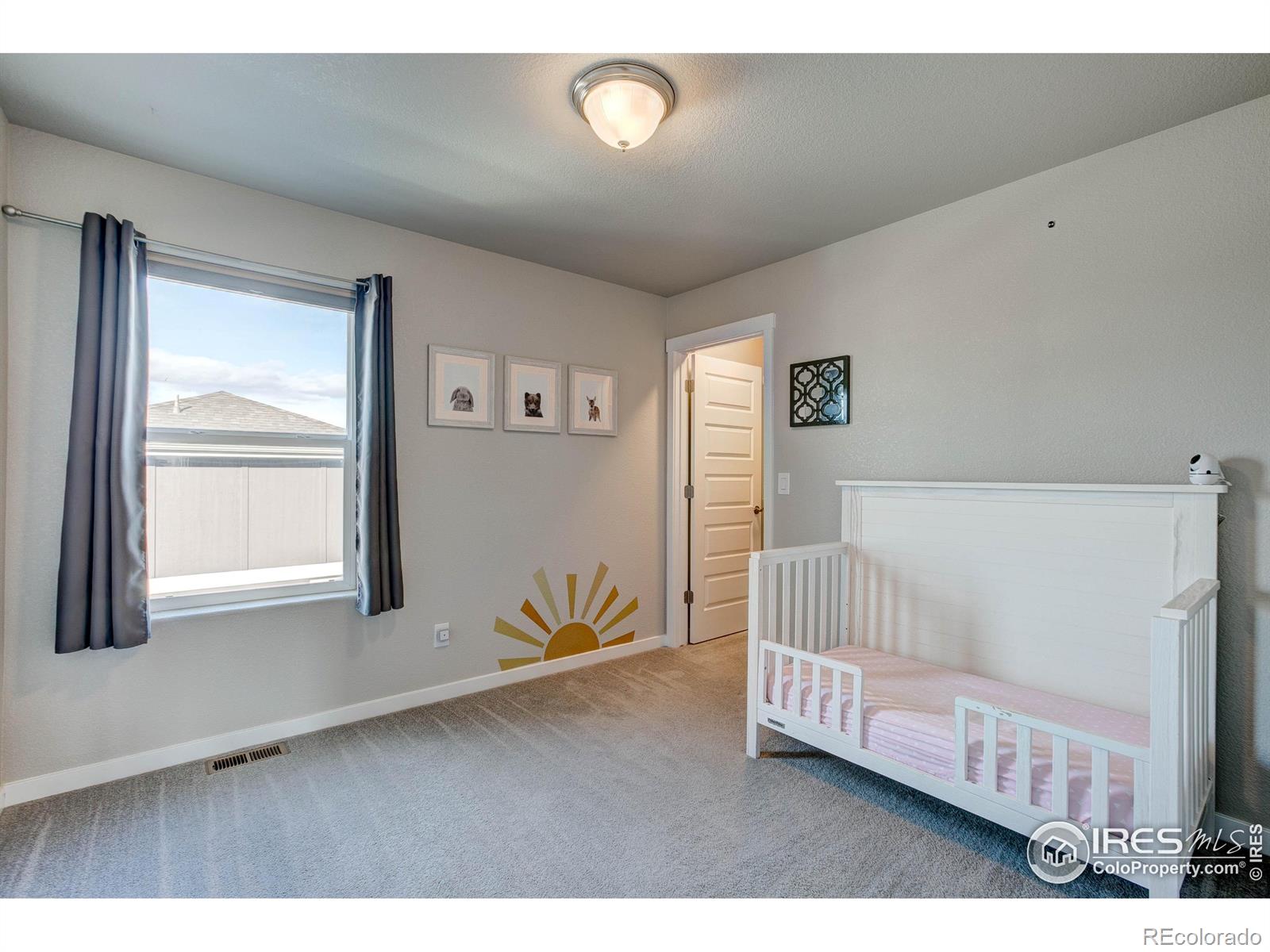 MLS Image #23 for 2137  honeybee drive,windsor, Colorado