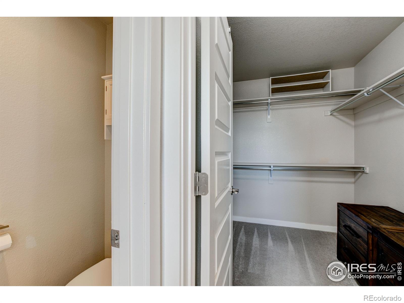 MLS Image #37 for 2137  honeybee drive,windsor, Colorado