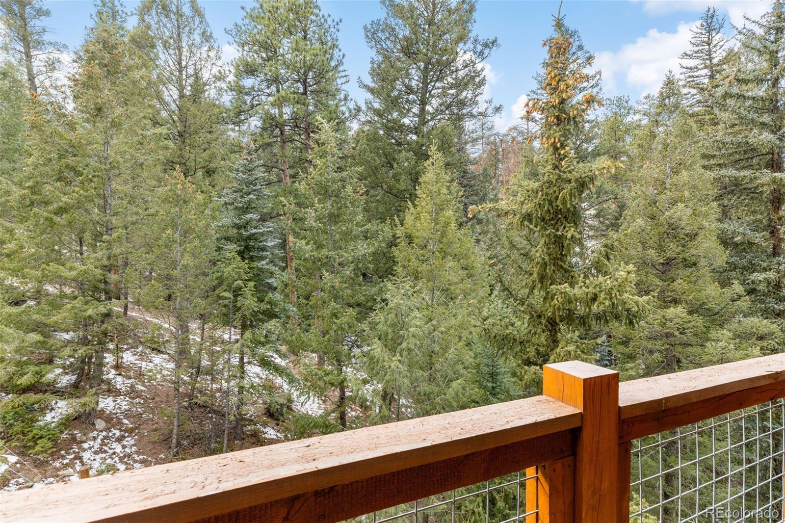 MLS Image #13 for 33755  columbine circle,evergreen, Colorado