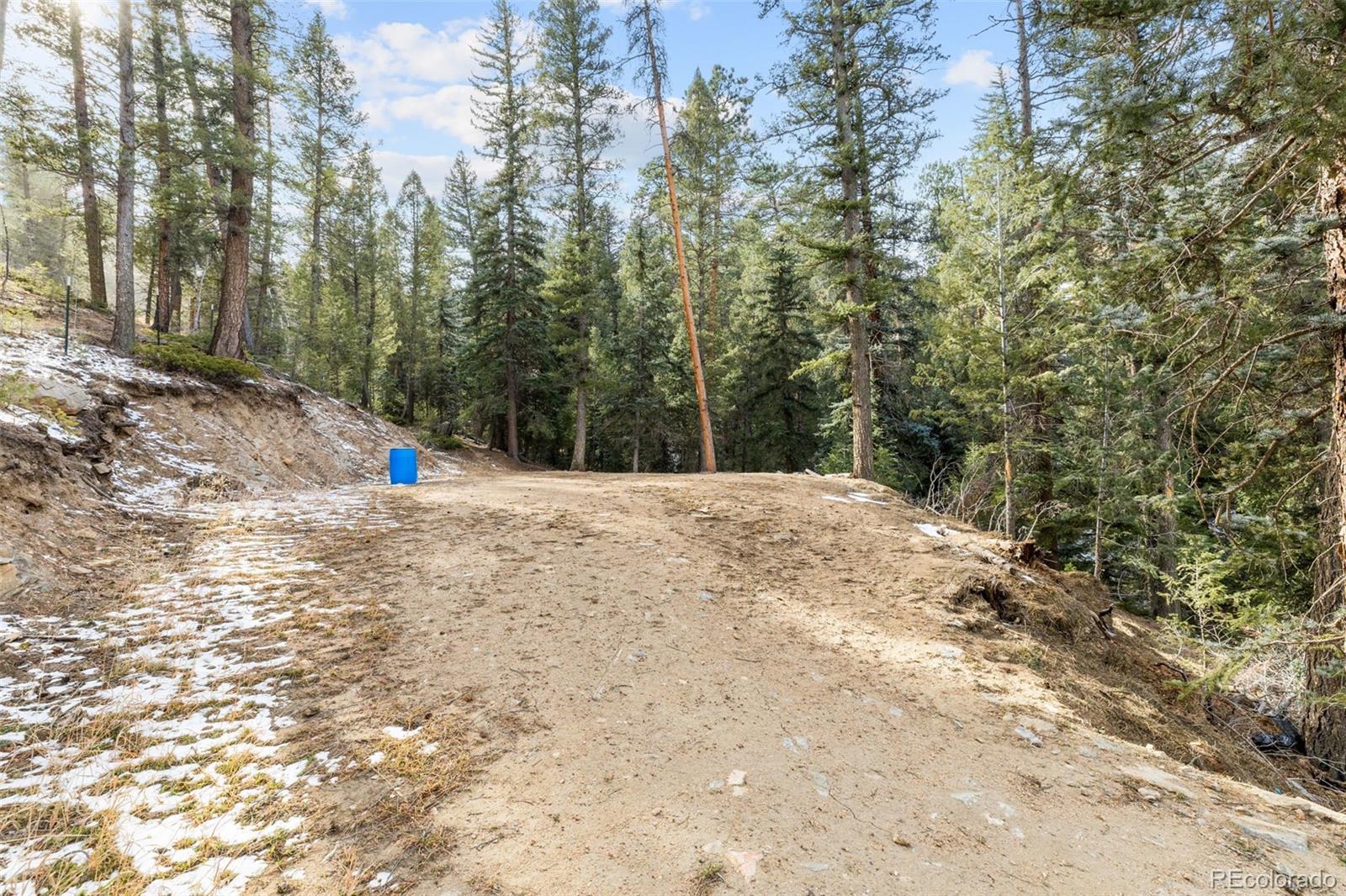 MLS Image #18 for 33755  columbine circle,evergreen, Colorado