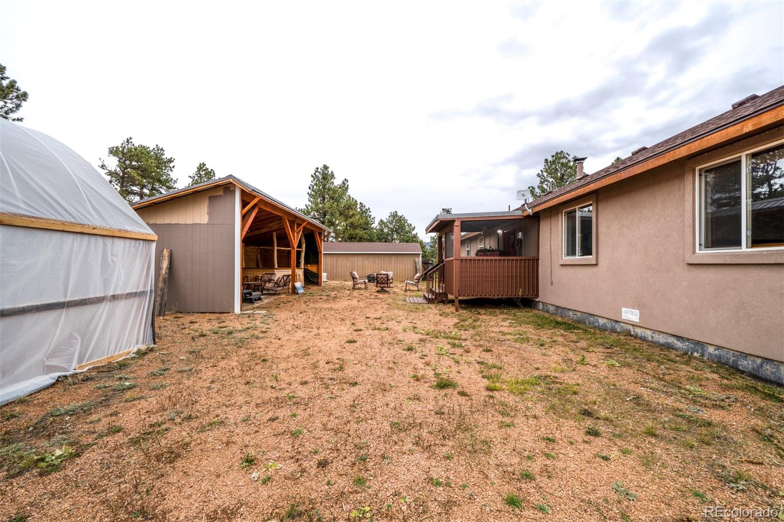 MLS Image #13 for 34  fetlock ,florissant, Colorado
