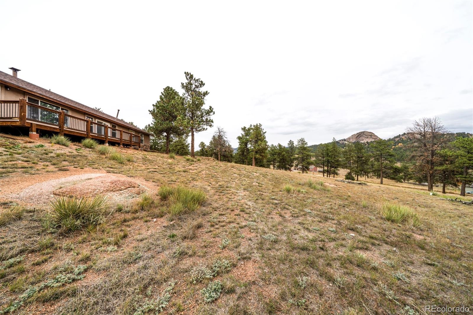 MLS Image #18 for 34  fetlock ,florissant, Colorado