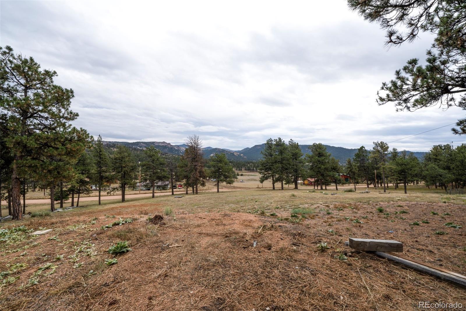MLS Image #21 for 34  fetlock ,florissant, Colorado