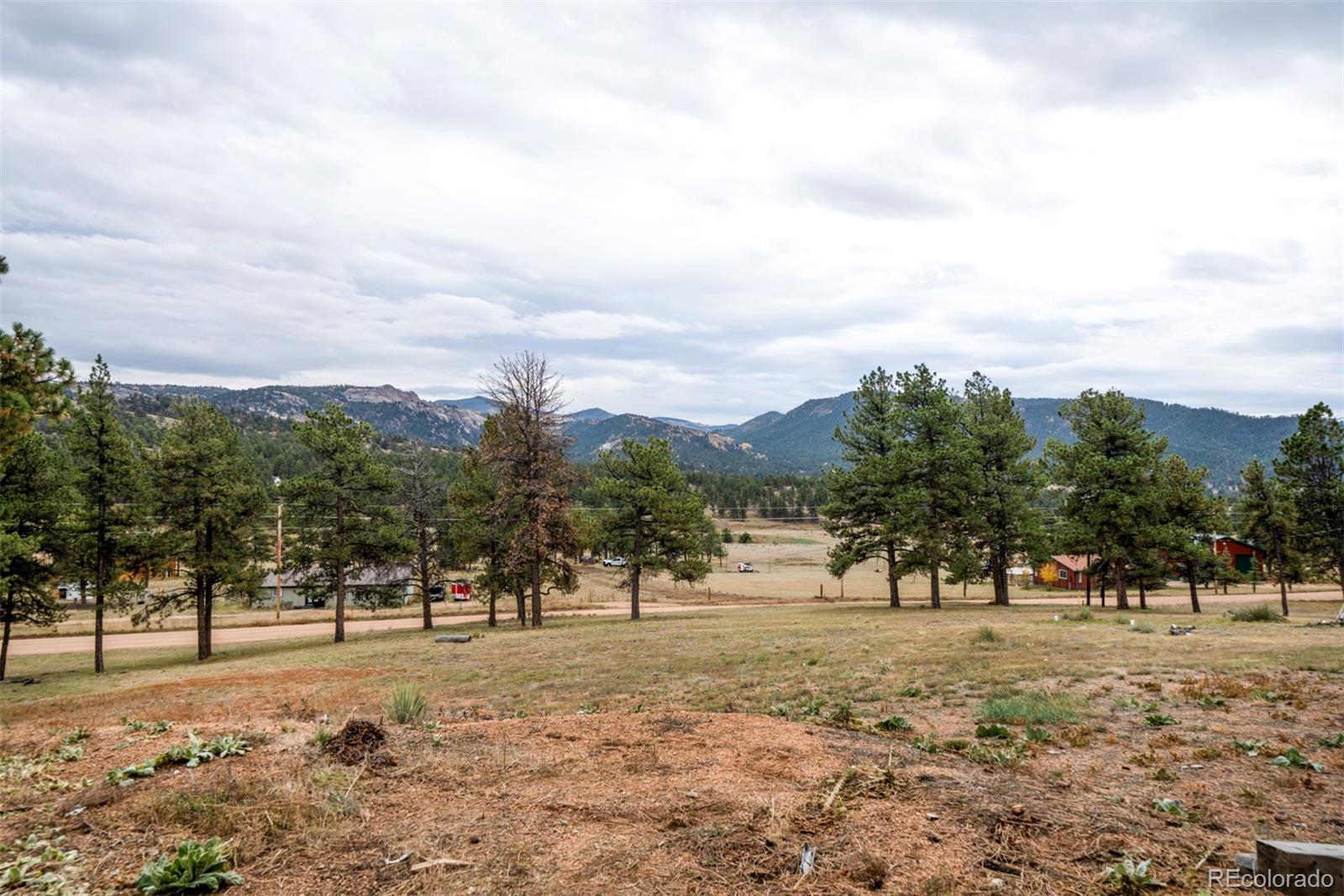 MLS Image #22 for 34  fetlock ,florissant, Colorado