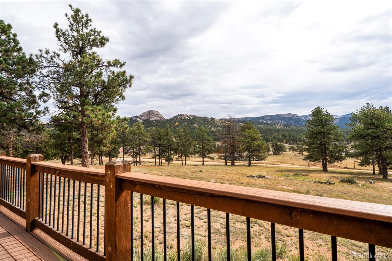 MLS Image #25 for 34  fetlock ,florissant, Colorado