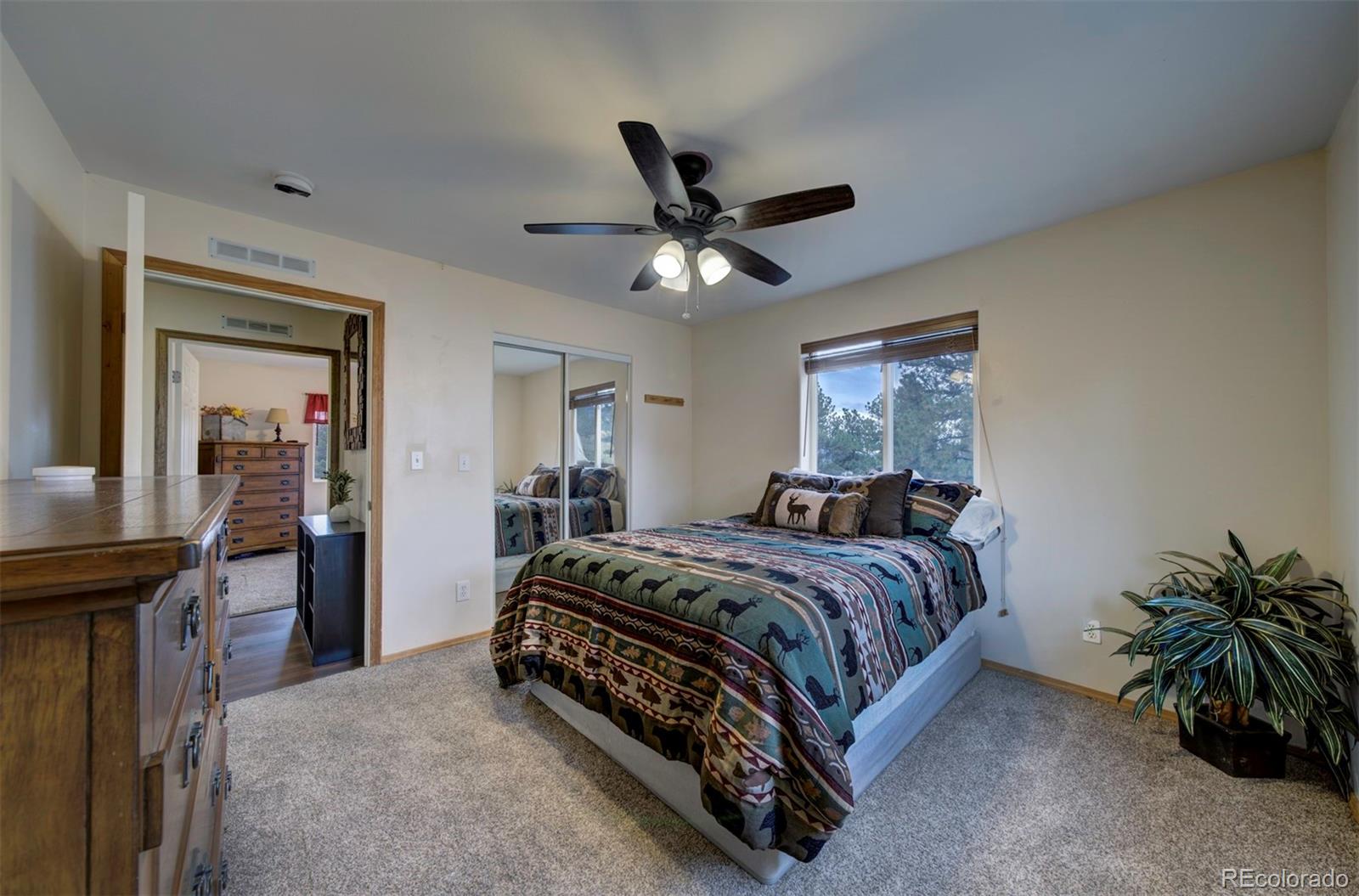 MLS Image #46 for 34  fetlock ,florissant, Colorado