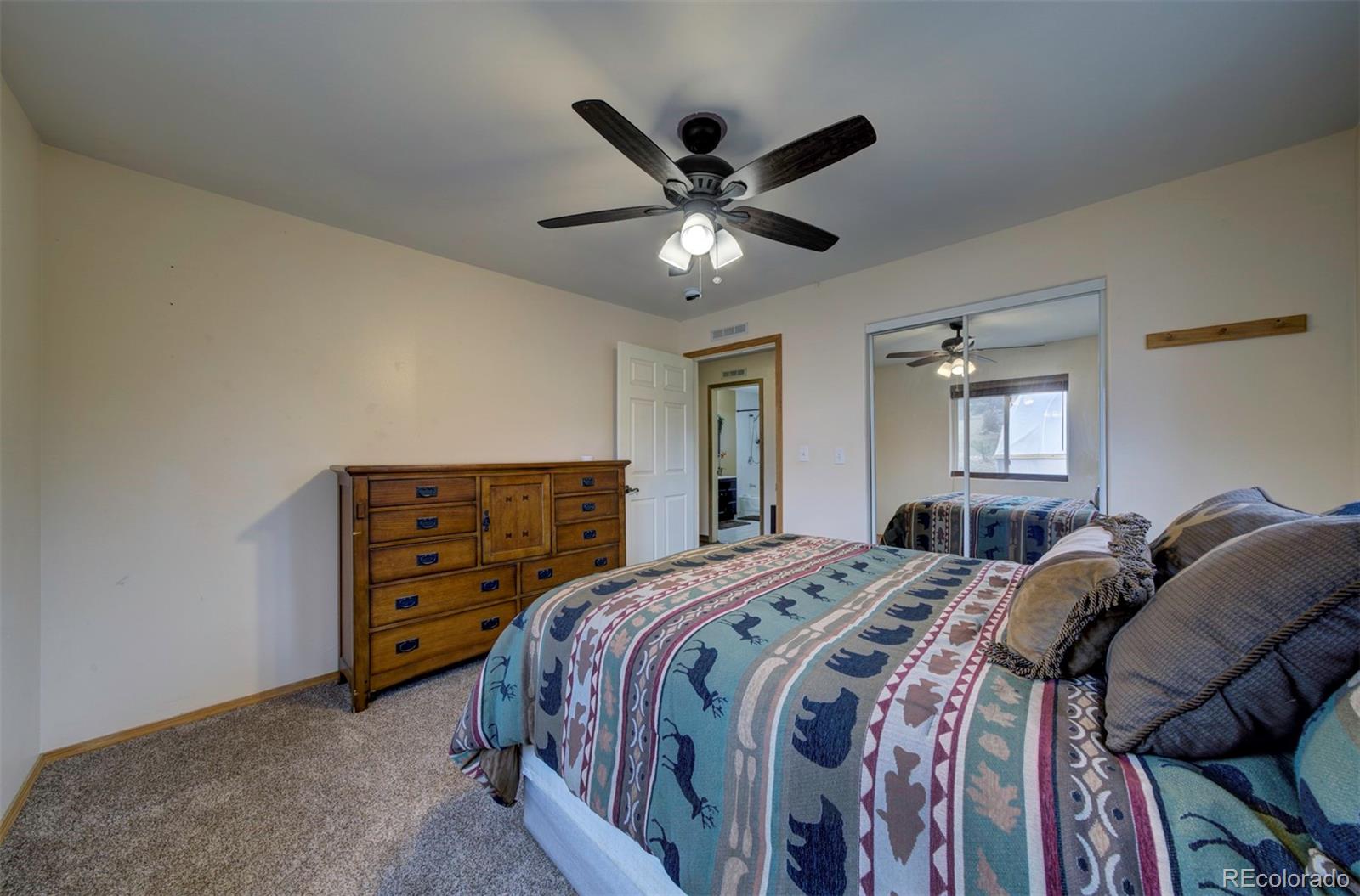 MLS Image #47 for 34  fetlock ,florissant, Colorado