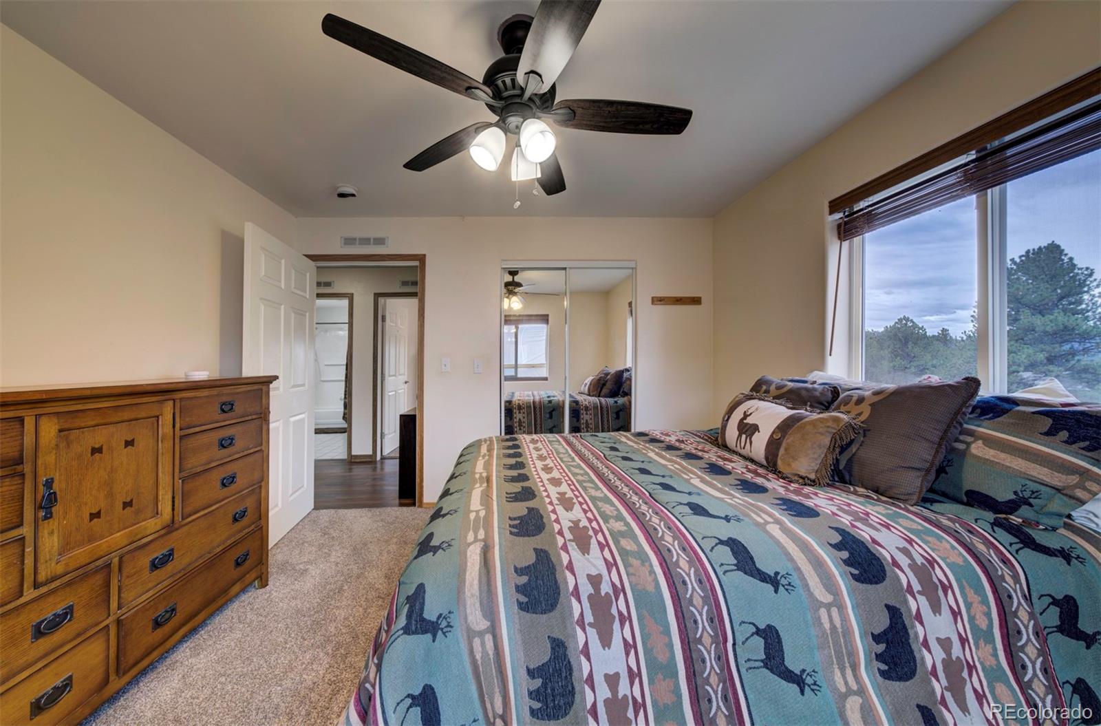 MLS Image #48 for 34  fetlock ,florissant, Colorado