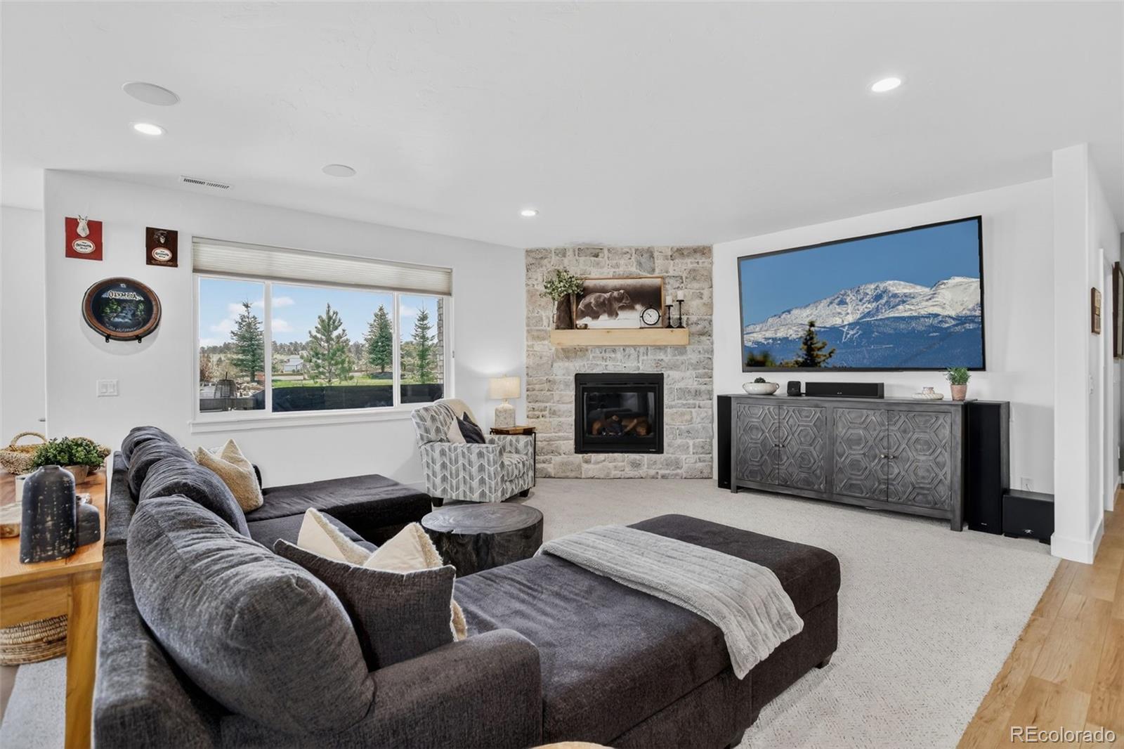 MLS Image #26 for 3313  bark tree trail,colorado springs, Colorado